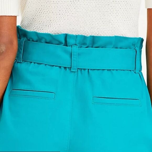 Loft Paperbag Shorts - Picture 4 of 8